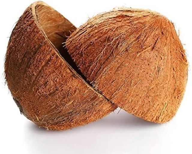 Kerala Natural Unpolished Coconut Shell | Agro Craft | Handicraft | Eco-Friendly | Charcoal Making (6 Pieces)