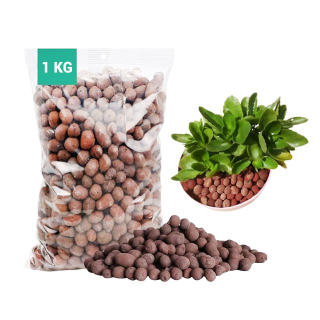 Strong Hydro Stone Clay Balls for Plants Hydrotons, Lightweight EXPANDED Clay Aggregate for hydroponic, Aeroponics, and Aquaponics, Aquaculture Plant Light Garden