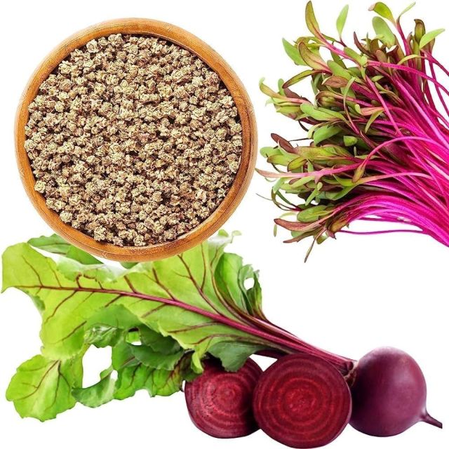 Yuvkarshaka Agro Farm Premium Beetroot Seeds – Chukandar, Organic Beetroot Seeds for Planting - (Pack Of 2)